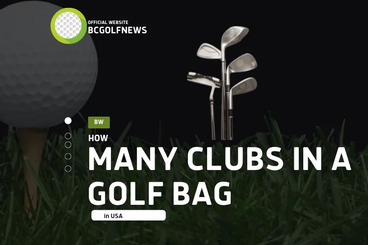 Conclusion for The Number of Clubs in a Golf Bag?