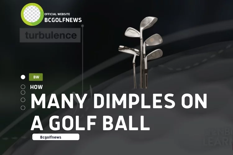 Conclusion for Dimples On a Golf Ball Buyers